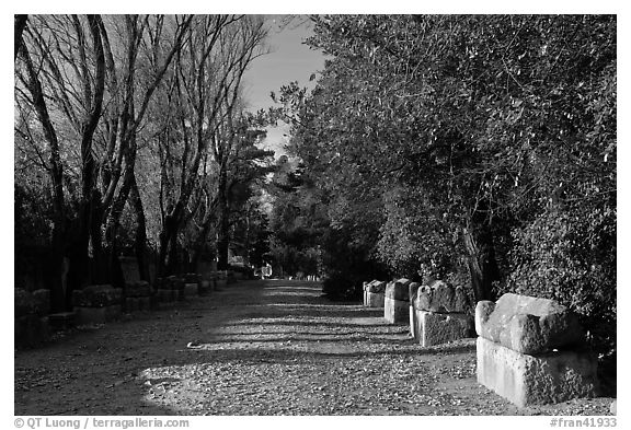 Roman Necropolis of Alyscamps. Arles, Provence, France (black and white)