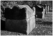 Sarcophagi lining main path, Alyscamps. Arles, Provence, France (black and white)