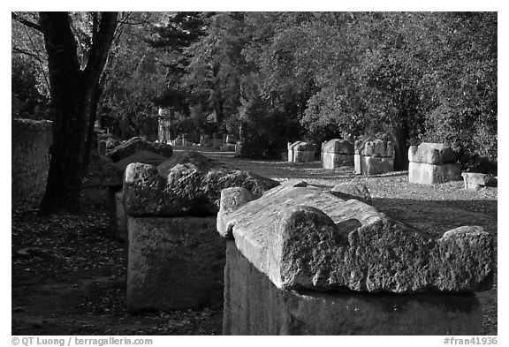 Burial grounds, Alyscamps necropolis. Arles, Provence, France