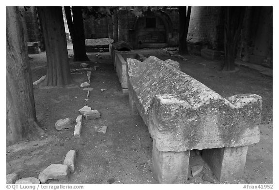 Sarcophagus, Alyscamps. Arles, Provence, France (black and white)