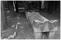 Sarcophagus, Alyscamps. Arles, Provence, France (black and white)