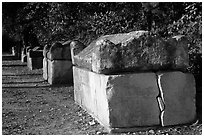 Roman Sarcophagi, Alyscamps. Arles, Provence, France (black and white)