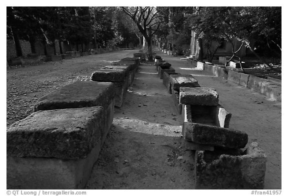 Rows of tombs on Alyscamps ancient burial grounds. Arles, Provence, France (black and white)