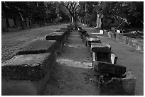 Rows of tombs on Alyscamps ancient burial grounds. Arles, Provence, France (black and white)