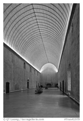 Room with vaulted ceilling, Palace of the Popes. Avignon, Provence, France