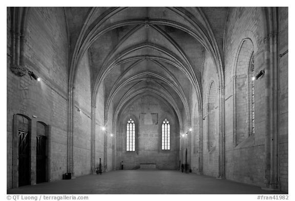 Chapel, Palais des Papes. Avignon, Provence, France (black and white)