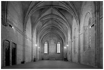 Chapel, Palais des Papes. Avignon, Provence, France (black and white)