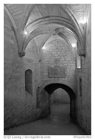 Staircase, Palais des Papes. Avignon, Provence, France (black and white)