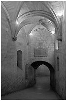 Staircase, Palais des Papes. Avignon, Provence, France (black and white)