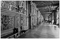 Francois 1er gallery, Chateau de Fontainebleau. France ( black and white)