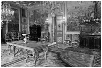 Salon Francois 1er, Fontainebleau Palace. France (black and white)