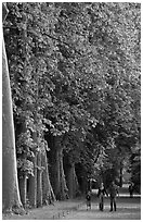 Family walking in gardens, Chateau de Fontainebleau. France (black and white)