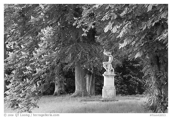 Sculpture, Horse chestnut trees (Aesculus hippocastanum), Chateau de Fontainebleau. France (black and white)