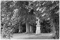 Sculpture, Horse chestnut trees (Aesculus hippocastanum), Chateau de Fontainebleau. France ( black and white)