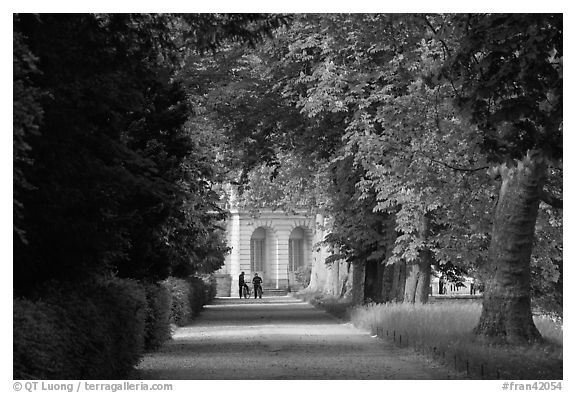 Forested alley and palace, Fontainebleau Palace. France (black and white)