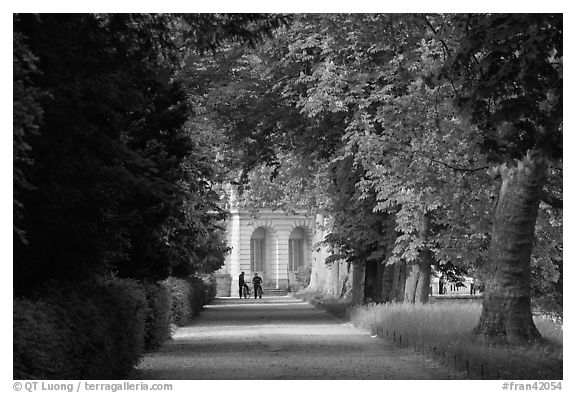 Forested alley and palace, Fontainebleau Palace. France