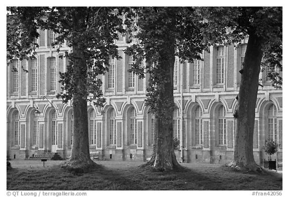 Trees and facade, Fontainebleau Palace. France (black and white)