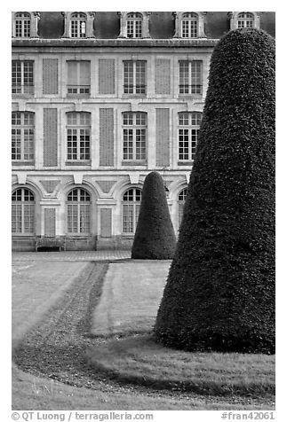 Hedged trees and facade, Palace of Fontainebleau. France (black and white)