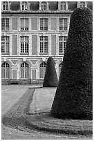 Hedged trees and facade, Palace of Fontainebleau. France ( black and white)