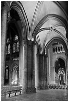 Transept, Cathedrale Notre-Dame de Chartres. France (black and white)