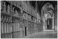 Sanctuary, Cathedrale Notre-Dame de Chartres. France (black and white)