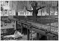 Bridge above canal lock and willow, Chartres. France ( black and white)