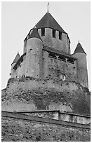 Caesar's Tower, Provins. France (black and white)