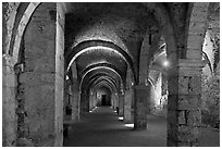 Vaulted lower room, Provins. France (black and white)