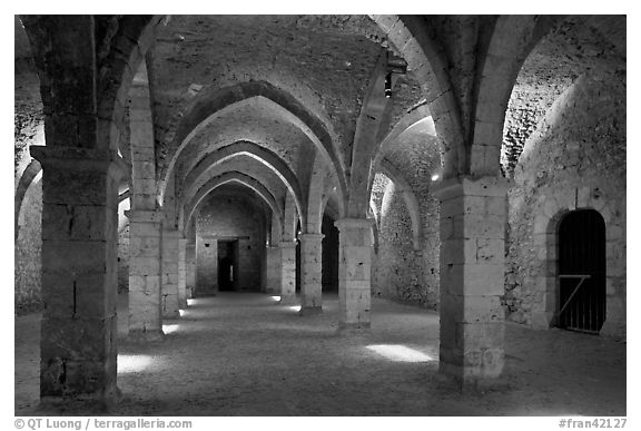 Underground gallery, Provins. France (black and white)