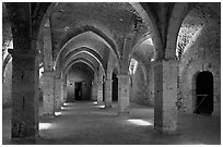 Underground gallery, Provins. France ( black and white)