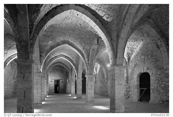 Vaulted room illuminated with colored lights, Provins. France (black and white)