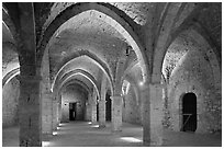 Vaulted room illuminated with colored lights, Provins. France (black and white)