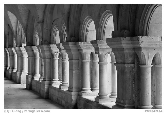 Cloister columns, Abbaye de Fontenay. Burgundy, France (black and white)