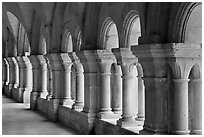 Cloister columns, Abbaye de Fontenay. Burgundy, France (black and white)