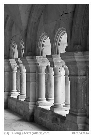 Detail of columns, the cloister, Fontenay Abbey. Burgundy, France (black and white)