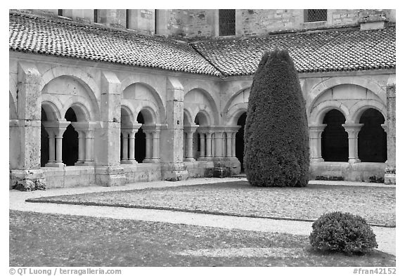 Cloister courtyard with dusting of snow Abbaye de Fontenay. Burgundy, France (black and white)