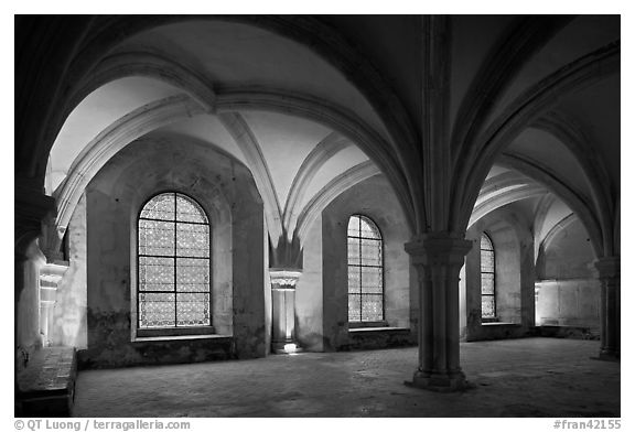 Rib-vaults, monks room, Cistercian Abbey of Fontenay. Burgundy, France (black and white)