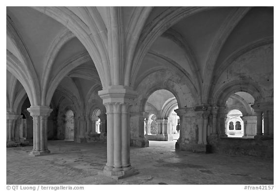 Rib-vaulted council room, Abbaye de Fontenay. Burgundy, France (black and white)