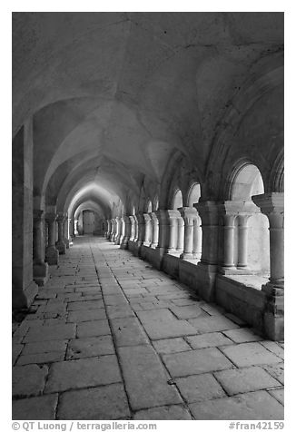 Cloister gallery, Fontenay Abbey. Burgundy, France (black and white)