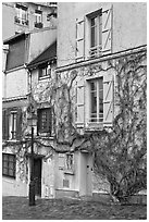 House with blue shutters and bare ivy, Montmartre. Paris, France (black and white)