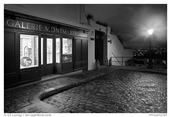 Gallery, street light, and coblestone pavement, Montmartre. Paris, France (black and white)