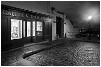 Gallery, street light, and coblestone pavement, Montmartre. Paris, France (black and white)