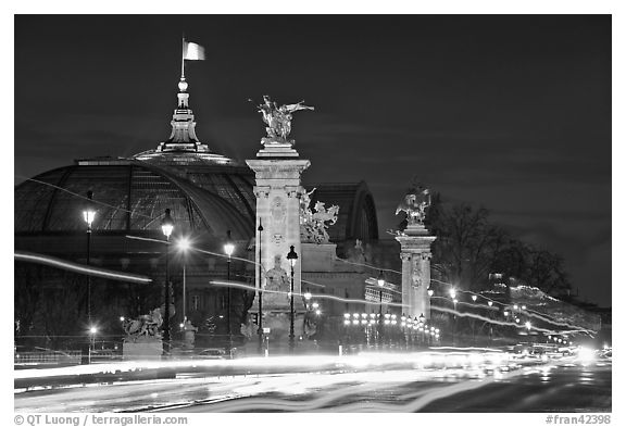 Petit Palais and trafic across Alexandre III bridge by night. Paris, France (black and white)