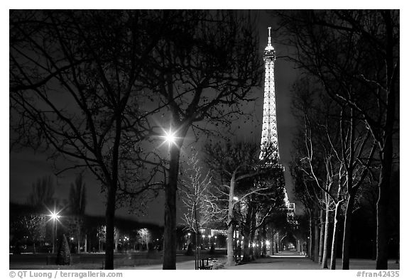 Trees in Champs de Mars and Eiffel Tower at night. Paris, France (black and white)