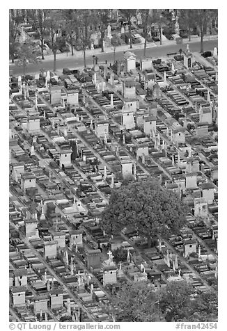 Tombs in Cimetierre du Montparnasse seen from above. Paris, France (black and white)
