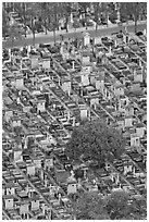 Tombs in Cimetierre du Montparnasse seen from above. Paris, France (black and white)