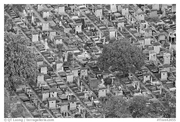 Aerial view of tombs, Montparnasse Cemetery. Paris, France (black and white)