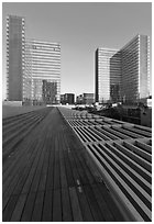 Bibliotheque Francois Mitterrand, sunset. Paris, France (black and white)