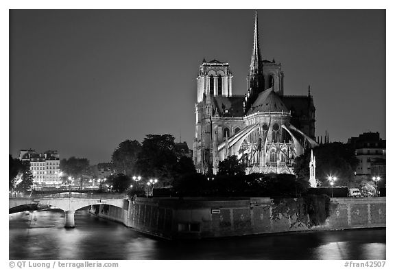Ile de la Cite and Notre Dame de Paris rear by night. Paris, France (black and white)