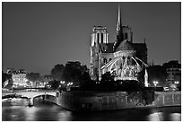 Ile de la Cite and Notre Dame de Paris rear by night. Paris, France ( black and white)